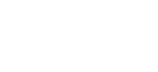 UCL Logo French